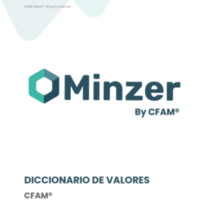 Ebook Diccionario de Valores CFAM® para la transformación de la cultura organizacional